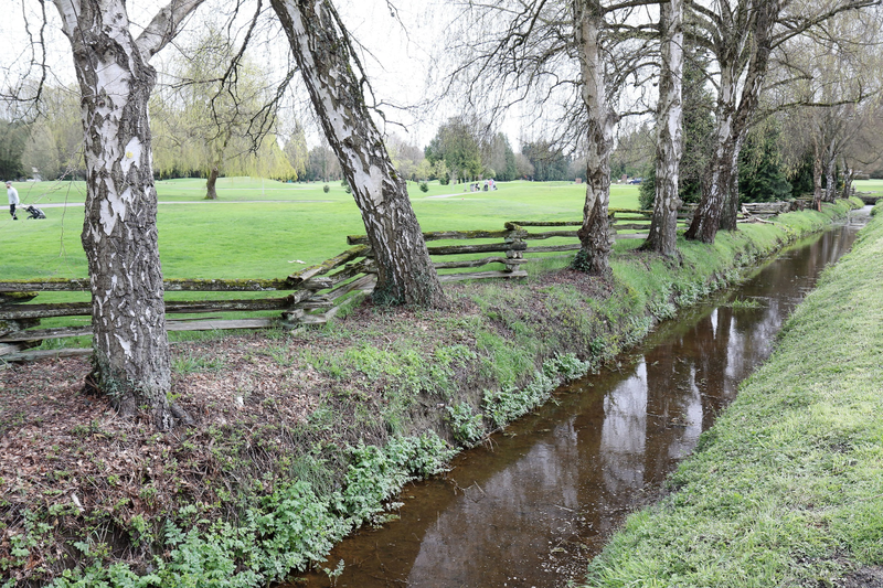 Illustration for article titled Pics from the (Stable)side: 2018-04-15 to Southlands